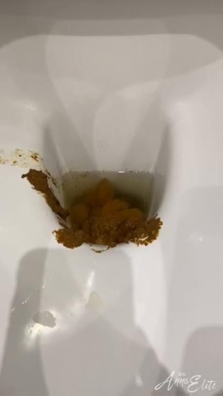 A big pile of shit in the toilet. P1 HD (2024)