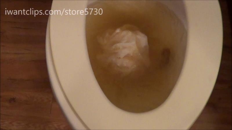 Ashley Dobbs Damn I Clogged The Toilet Keepingitfunky FullHD (2025)