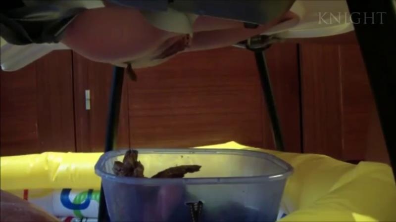 Young Girls Poop From Chair On Slave In Pool P1 SD (2025)