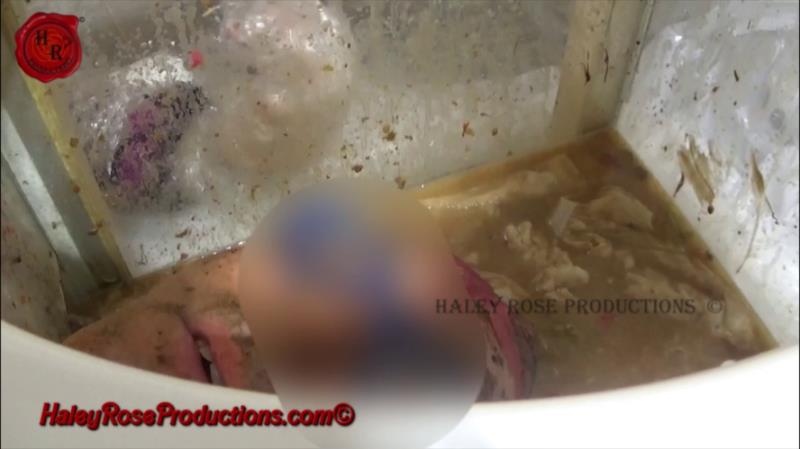 12 Hours Locked in Toilet Box Part 2 FullHD - Haley Rose Productions (2025)