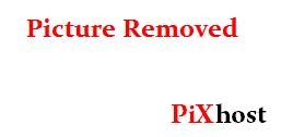 PLBZ – The ass of the human toilet must be punished in order to work properly HD (2025)