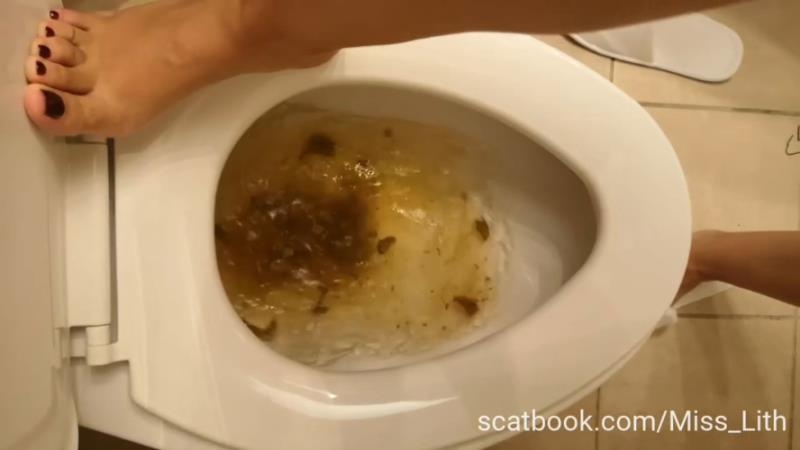 Scat Verbal Humiliation The Toilet is Сlogged P1 HD (2025)