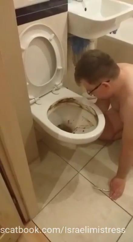 Shitty bitch training feeding in the toilet P1 SD (2025)