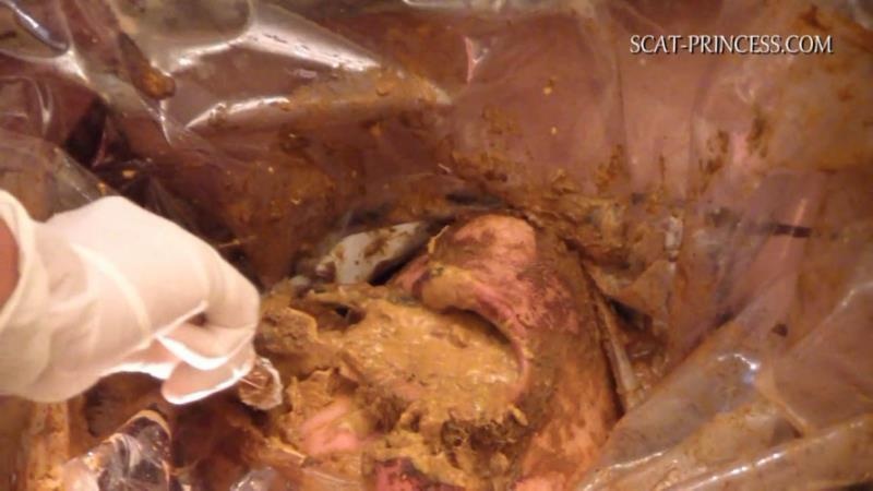 Scatmania Underground Toilet Slave Part 5 Sc M St HD (2025)