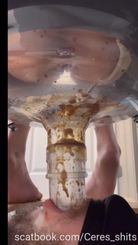 A Day of Shitting Down My Toilet's Throat P1 SD (2025)