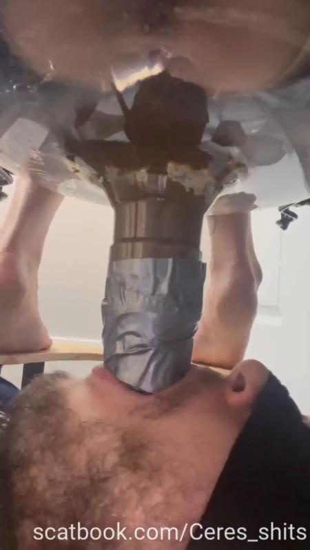 Toilet Annihilation with Goddess Ceres P1 SD (2025)