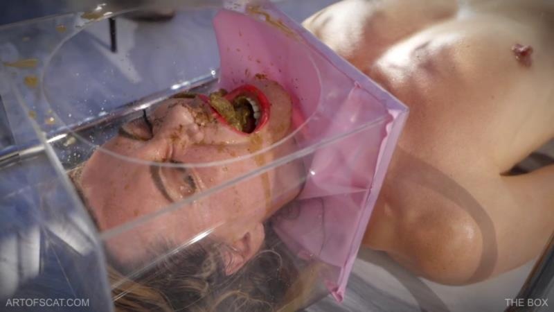 THE BOX FullHD - QS, NAZRYANA (2025)