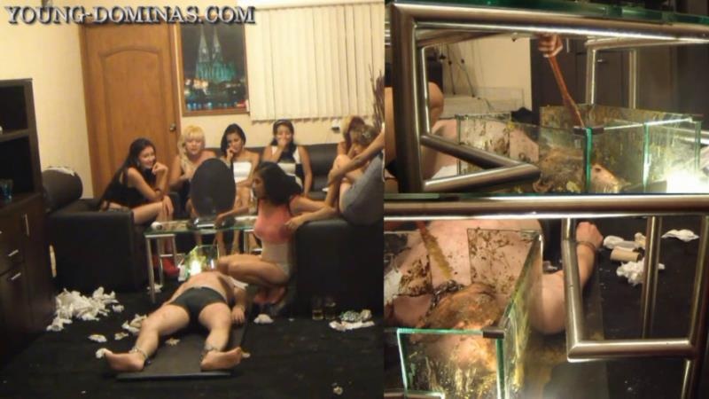 Sorry Slave, you stay, until you swallowed all the Shit Part 10 HD. P1 HD - Young Dominas (2025)