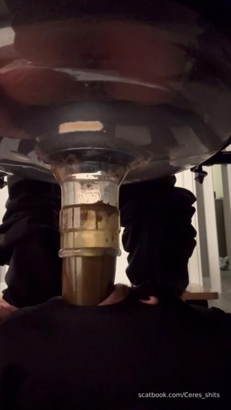 Goddess Ceres-2025-10-19 - Toilet Swallows All My Waste For The Day SD (2025)