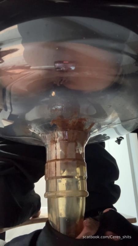 2025-11-13 - A Quick Shit Down My Septic Tanks Throat SD - Goddess Ceres (2025)