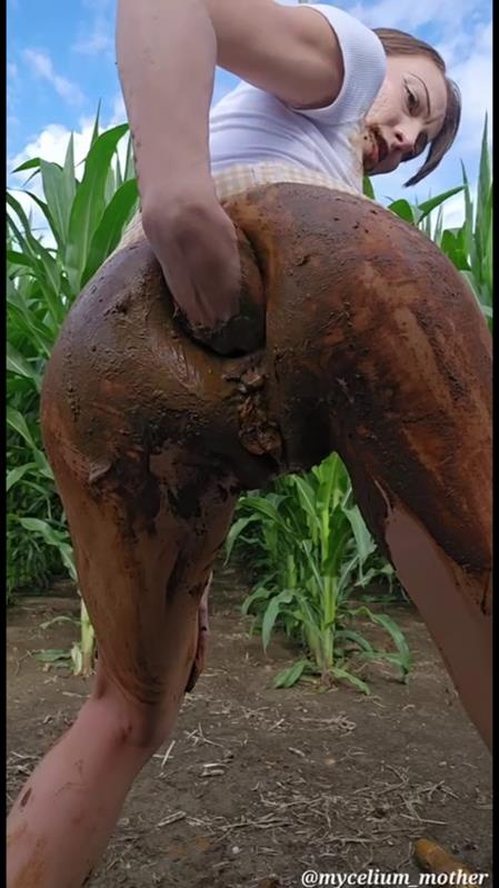 The A-maize-ing Mycelium mother SD - Mycelium Mother (2025)