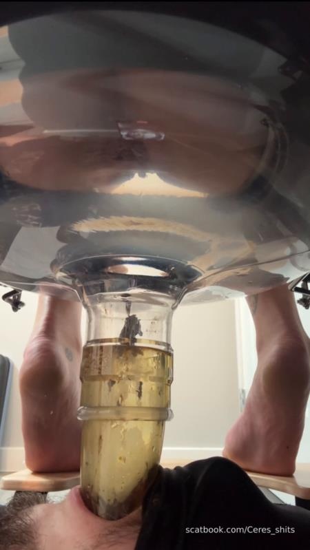 Five Levels of Shit » Mixfemdomcc - Latest Femdom Porn for Online Streaming SD - Goddess Ceres (2025)