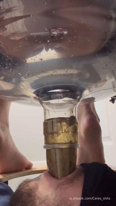 Human Toilet's First Malfunction Infinite Shit Down Your Throat » Mixfemdomcc - Latest Femdom Porn for Online Streaming SD - Goddess Ceres (2025)