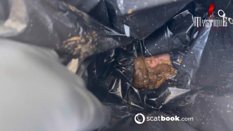 Fun with a toilet slave on the loggia, Scat feeding. P1 HD (2026)