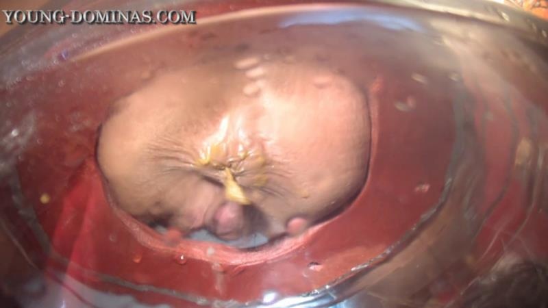 The Poop Barril Part 3 HD. P1 HD (2026)