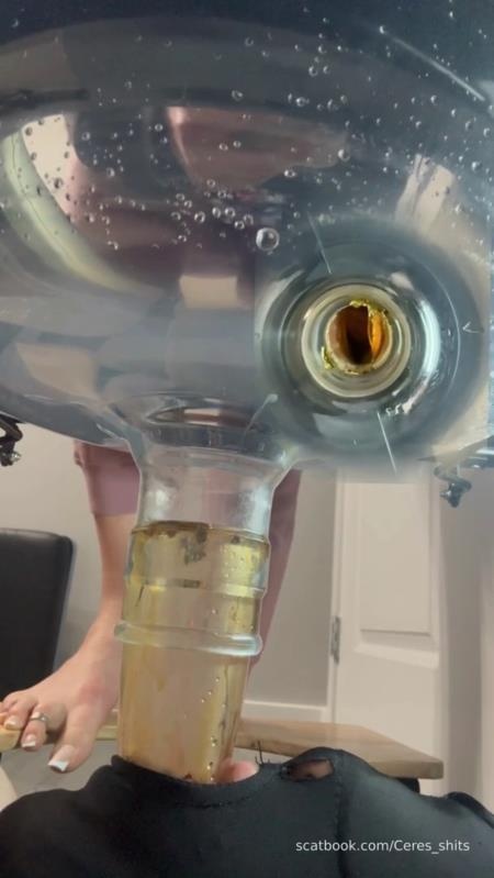 Septic Tank Almost Fails P1 SD (2026)