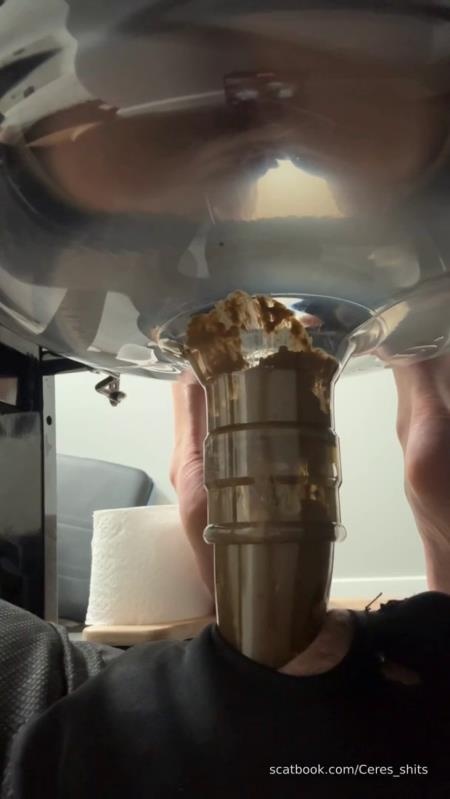 Daily Toilet Torture P1 SD (2026)