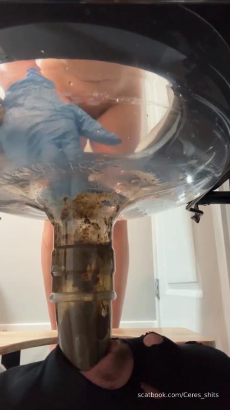 24 Minutes of Daily Toilet Slave Destruction P1 SD (2026)