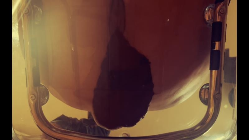 Poop in transparent chair HD (2026)