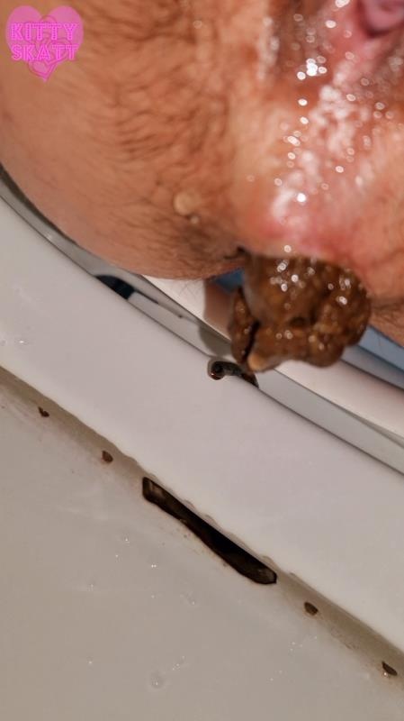 Four unflushable logs SD (2026)