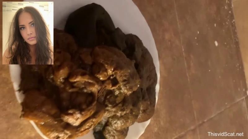 A huge pile of shit goes into the toilet. P1 HD (2026)