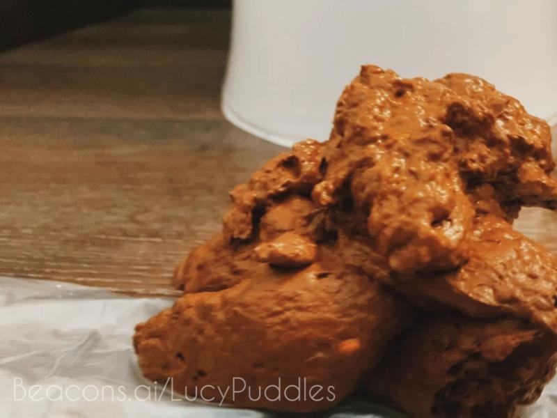 Creamy Turd Eating Encouragement HD (2026)