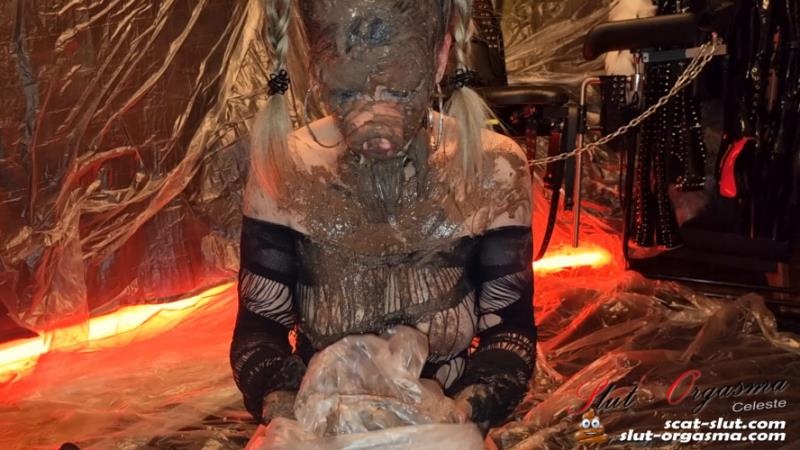 Extreme disgusting scat pig shitting puking swallowing FullHD (2026)
