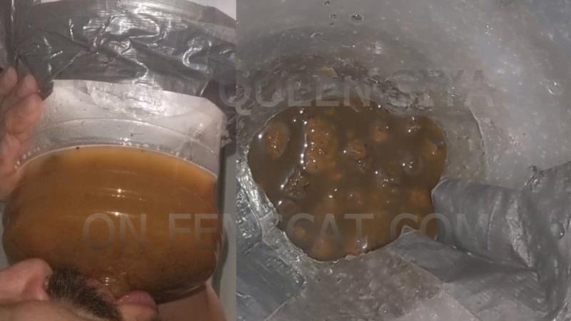 2 Scenes - On all Fours, Vile Diarrhea HD (2026)