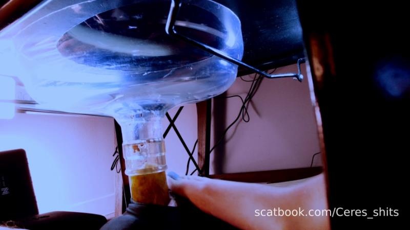 A Private Session with My Toilet FullHD (2026)