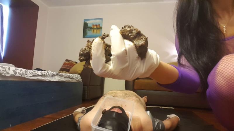 Pooping On My Slave’s Face FullHD (2026)