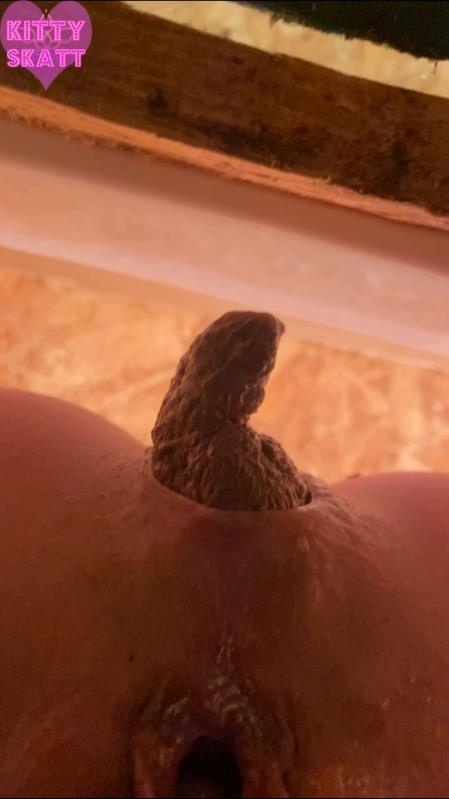 POV hookup in festival toilet SD - Kitty Skatt (2026)