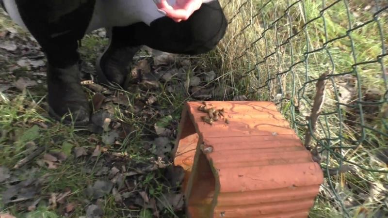 Compilation Dump Set 177 Videos P16 FullHD - HotDirtyIvone (2026)