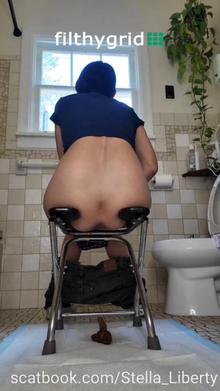Number Two with the Toilet Chair SD (2026)